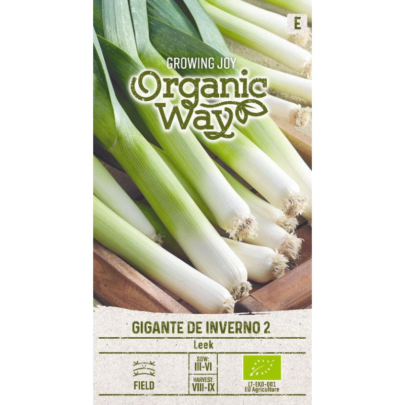 Leek Gigante de Inverno 2 - Seeds