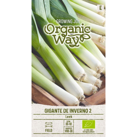 Leek Gigante de Inverno 2 - Seeds