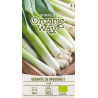 Leek Gigante de Inverno 2 - Seeds