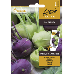 Kohlrabi Kartago H & Amethyst H - Seeds
