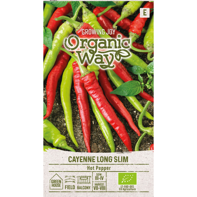 Pepper Hot Cayenne Long Slim - Seeds