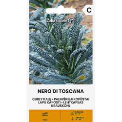 Kale Curly Nero di Toscana - Seeds
