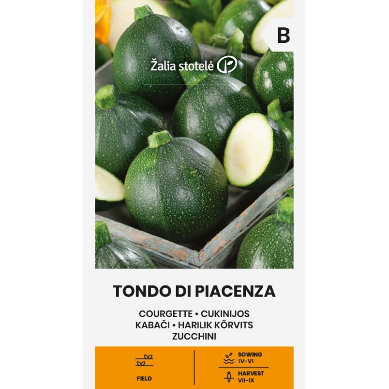 Courgette Tondo di Piacenza - Seeds