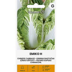 Cabbage Chinese Emiko H - Seeds