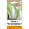 Cabbage Chinese Capitol H - Seeds