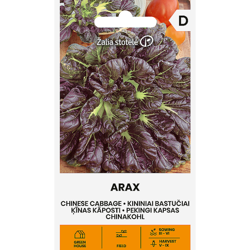 Cabbage Chinese Arax - Seeds