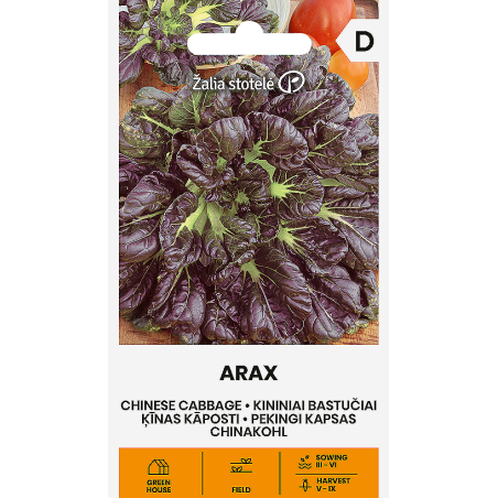 Cabbage Chinese Arax - Seeds