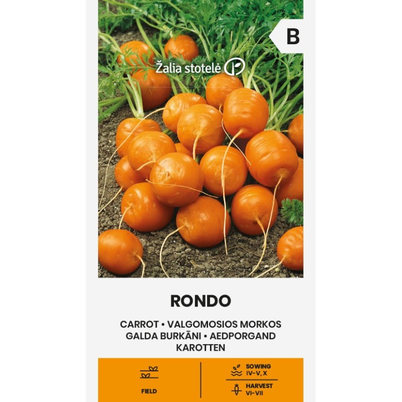 Carrot Rondo - Seeds