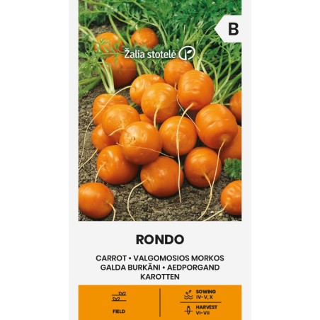 Carrot Rondo - Seeds