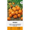 Carrot Rondo - Seeds