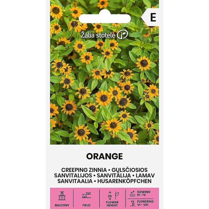 Creeping Zinnia Orange - Seeds