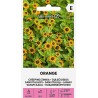 Creeping Zinnia Orange - Seeds