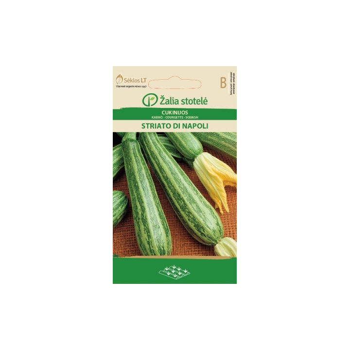 Courgette Striato di Napoli - Seeds