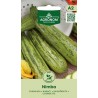 Courgette Nimba - Seeds