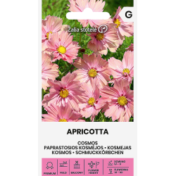 Cosmos Apricotta - Seeds
