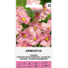Cosmos Apricotta - Seeds