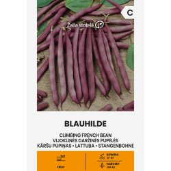 Bean Climbing French Blauhilde - Seeds