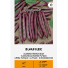 Bean Climbing French Blauhilde - Seeds