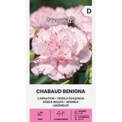 Carnation Chabaud Benigna - Seeds