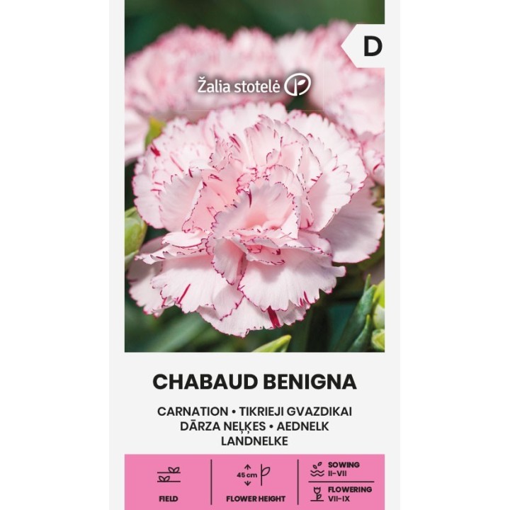 Carnation Chabaud Benigna - Seeds