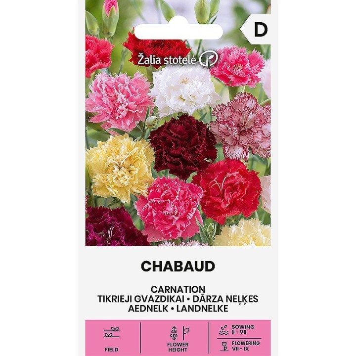 Carnation Chabaud - Seeds
