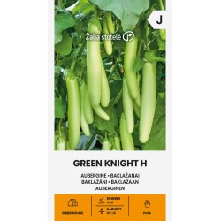 Aubergine Green Knight H - Seeds