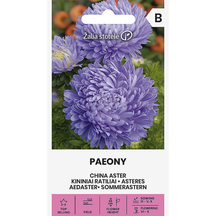 Aster China, Paeony Light Blue - Seeds