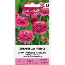 Zinnia Zinderella Púrpura - Seeds