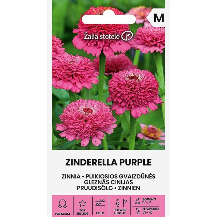 Zinnia Elegans 'Mix' - 75 seeds