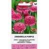 Zinnia Zinderella Púrpura - Seeds