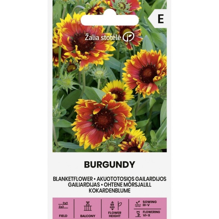 Gaillardia pulchella, Fire wheels - 85 seeds