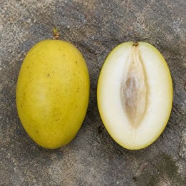 White mango - Seeds