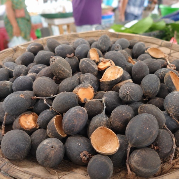 Velvet tamarind - Seeds