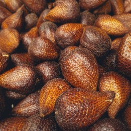 Salak - Seeds