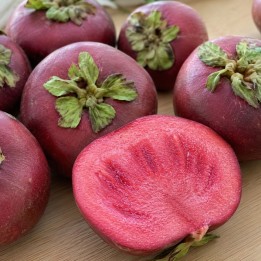 Red sapote - Seeds