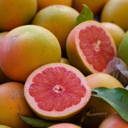 Pomelo - Seeds