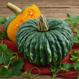 Marina di Chioggia Pumpkin - Seeds