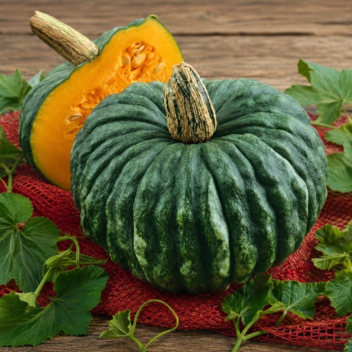 Marina di Chioggia Pumpkin - Seeds