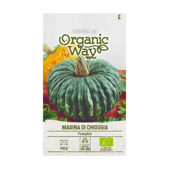 Marina di Chioggia Pumpkin - Seeds