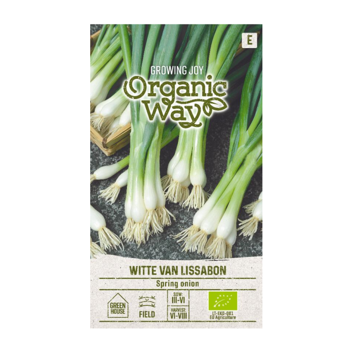 White Lisbon Spring Onion - Seeds