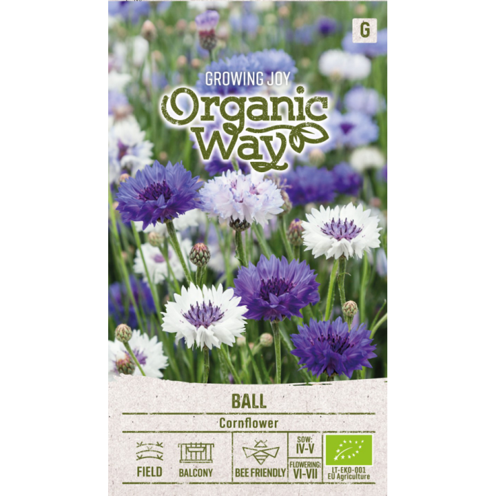 Ball Cornflower - Seeds