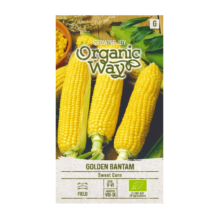 Golden Bantam Sweet Corn (Organic) - Seeds