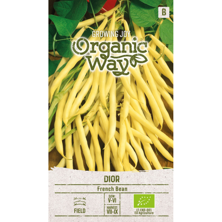 Dior French Bean - Seeds