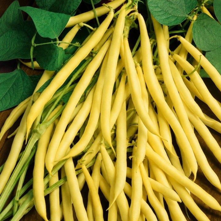 Dior French Bean - Seeds