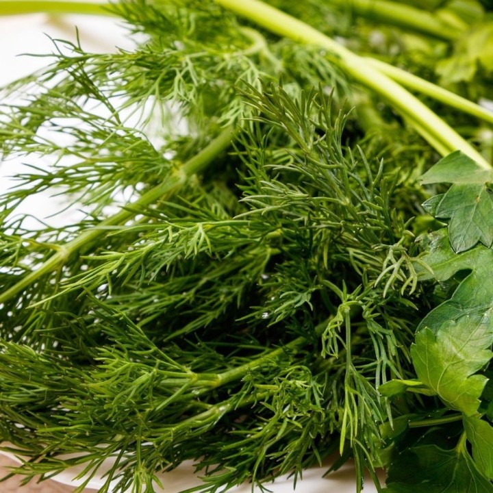Dill (Organic) - Seeds