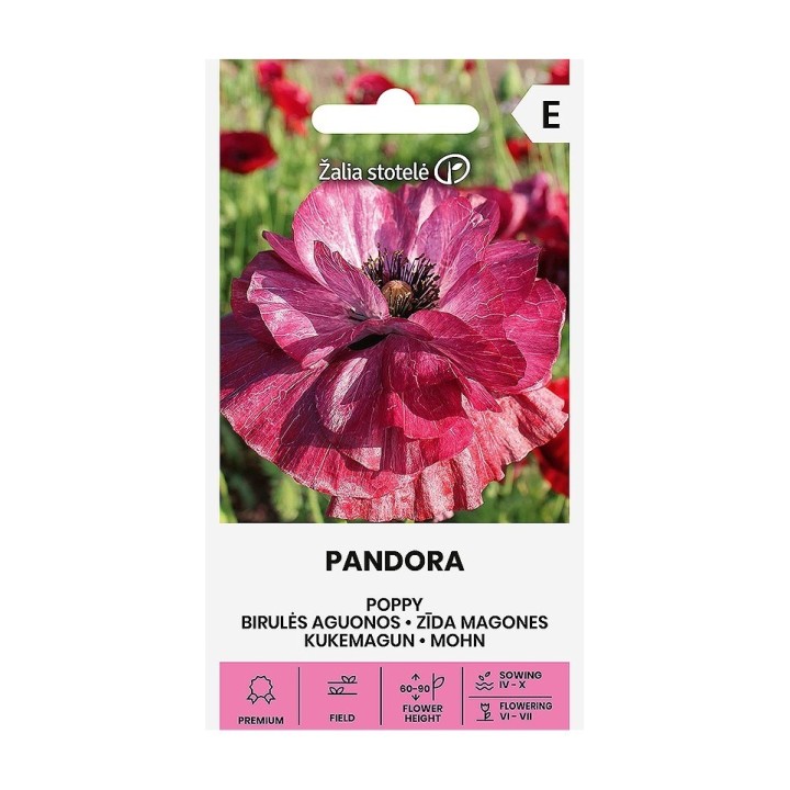 Poppy, Pandora - Seeds