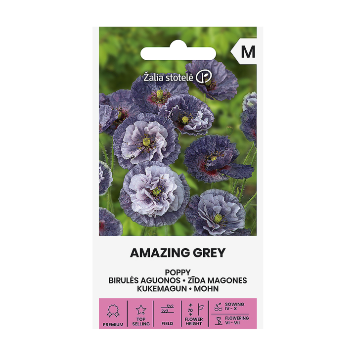 Poppy, Amazing grey - Seeds
