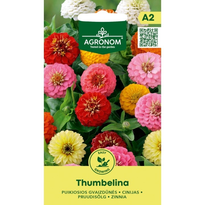 Zinnia, Thumbelina - Seeds