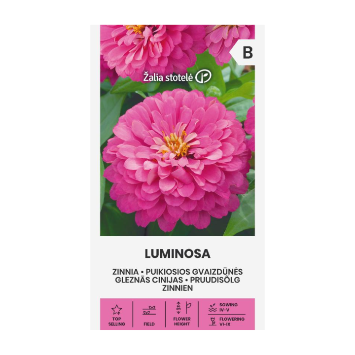Zinnia, Luminosa - Seeds