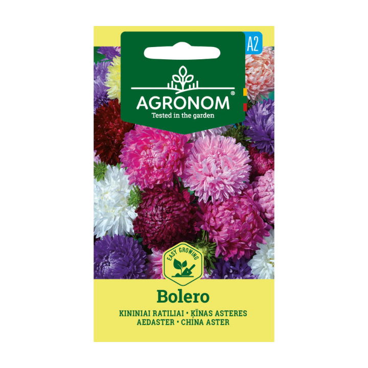 Aster China, Bolero - Seeds
